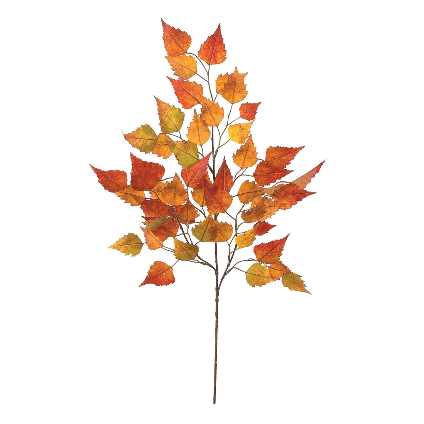#19190S Fall Orange Yellow Green Birch Leaves e??? Spray