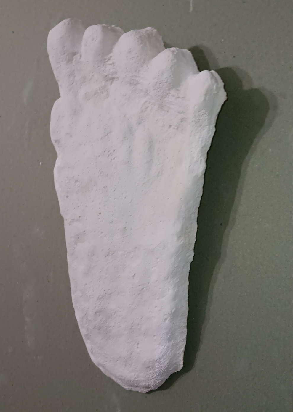 1960 Bigfoot cast Peter Byrne Bigfoot print cast (Byrne not Burn)