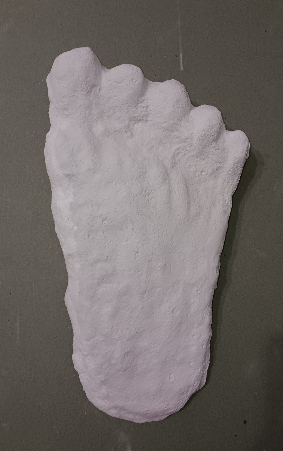 1960 Bigfoot cast Peter Byrne Bigfoot print cast (Byrne not Burn)