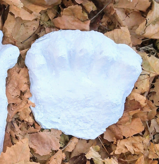 1984 Paul Freeman's Wrinkle Foot cast  C half track Bigfoot Sasquatch footprint track cast replicas