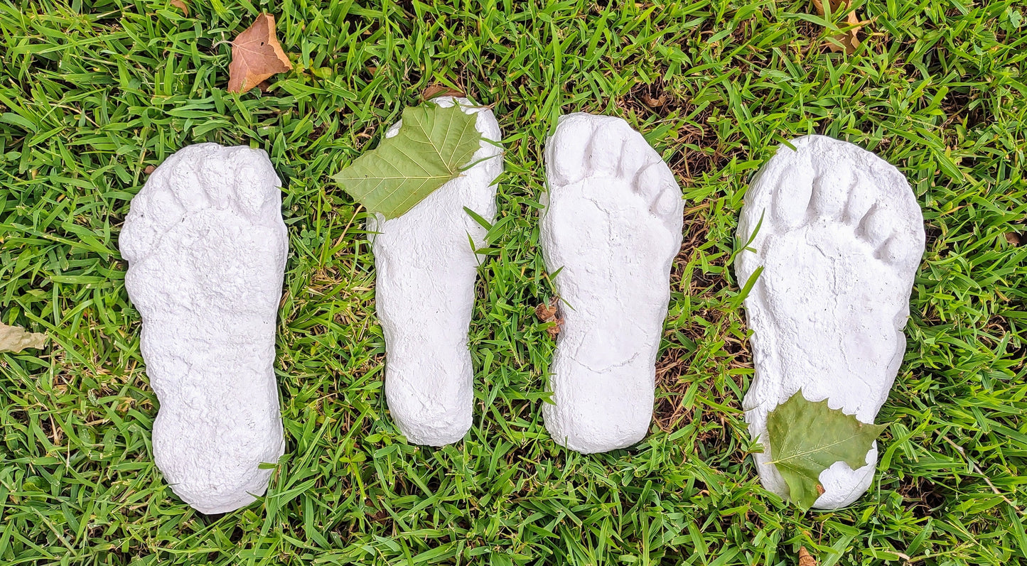 1982 Grays Harbor Hereford Bigfoot print cast A