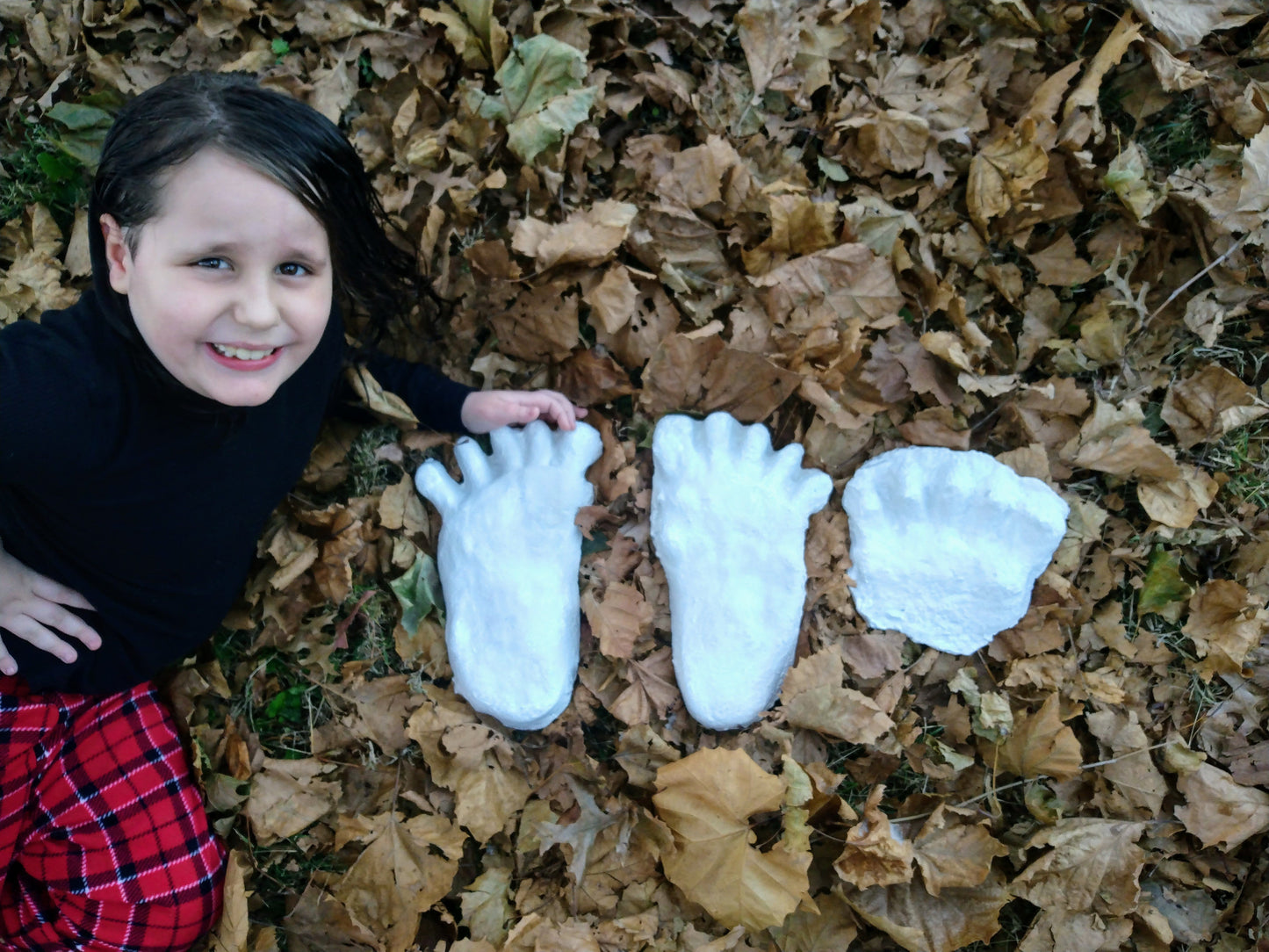 1984 Paul Freeman's Wrinkle Foot cast  A Bigfoot Sasquatch footprint track cast replicas