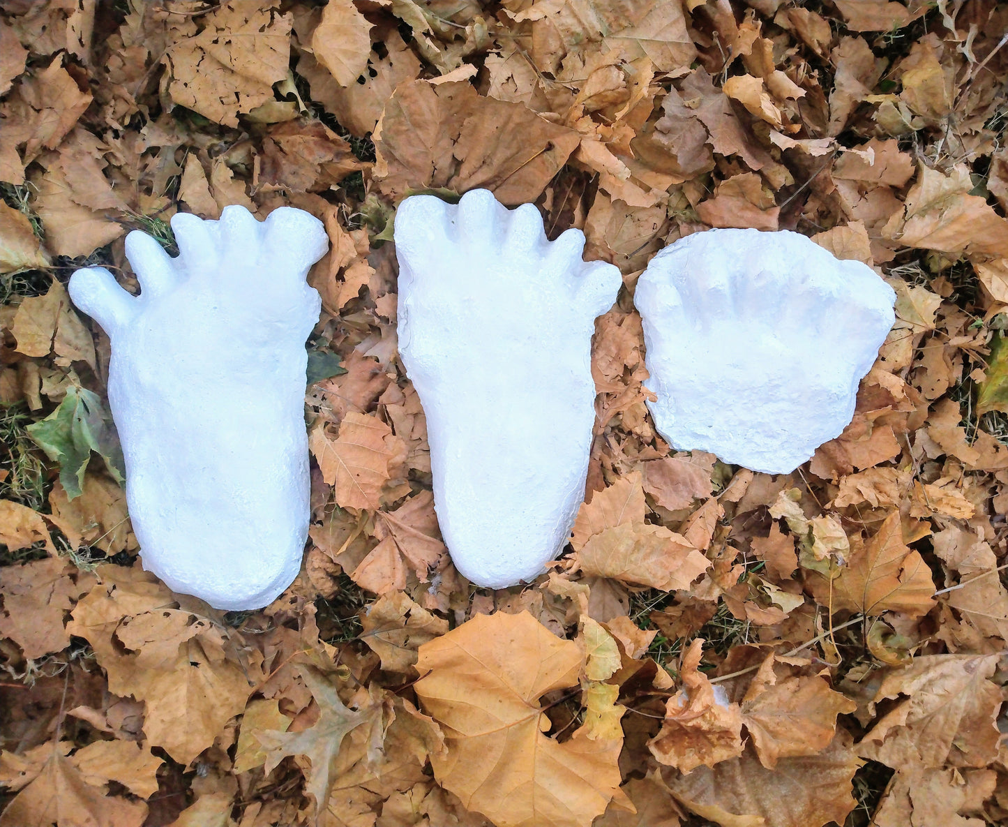 1984 Paul Freeman's Wrinkle Foot cast  A Bigfoot Sasquatch footprint track cast replicas