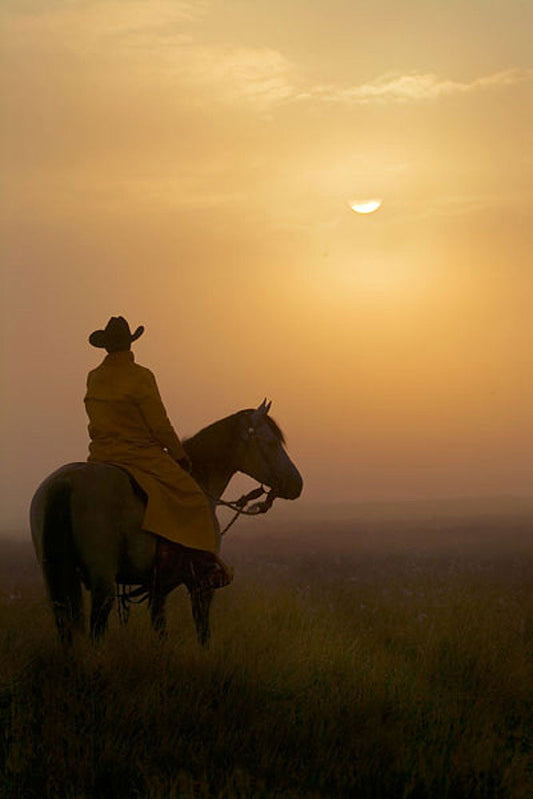 A New Day by Robert Dawson