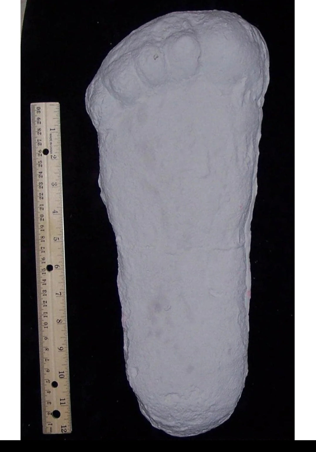 1967 Bigfoot cast replica print # CA-10 SI 3900422 K1725 (1967)