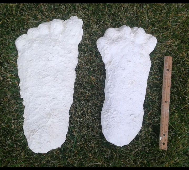 1963 Hyampom Bigfoot (Sasquatch) footprint cast B