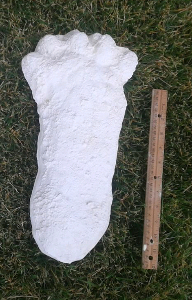 1963 Hyampom Bigfoot (Sasquatch) footprint cast B
