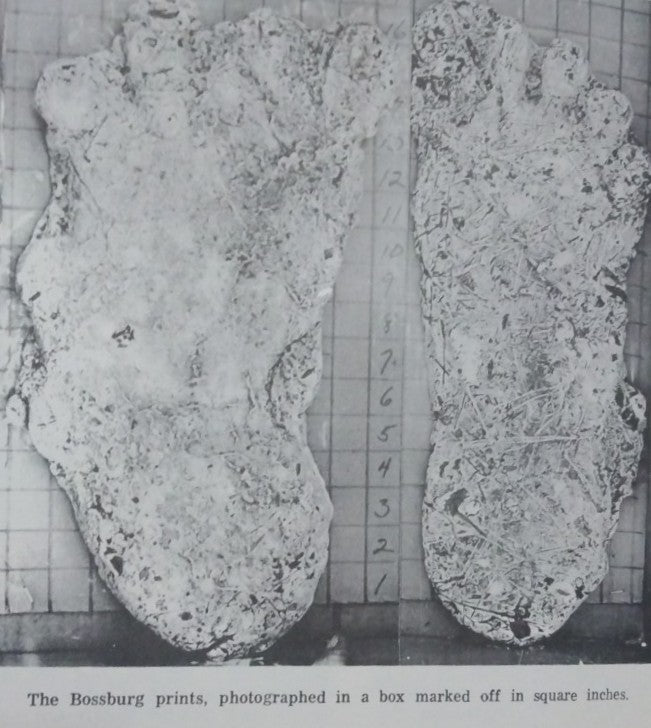 1969 Bigfoot Cripple Foot cast B