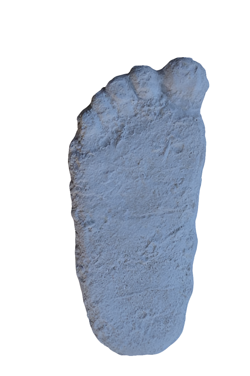 1963 (1967?) Pat Graves Bigfoot track cast Patterson - (formerly Gimlin E cast)