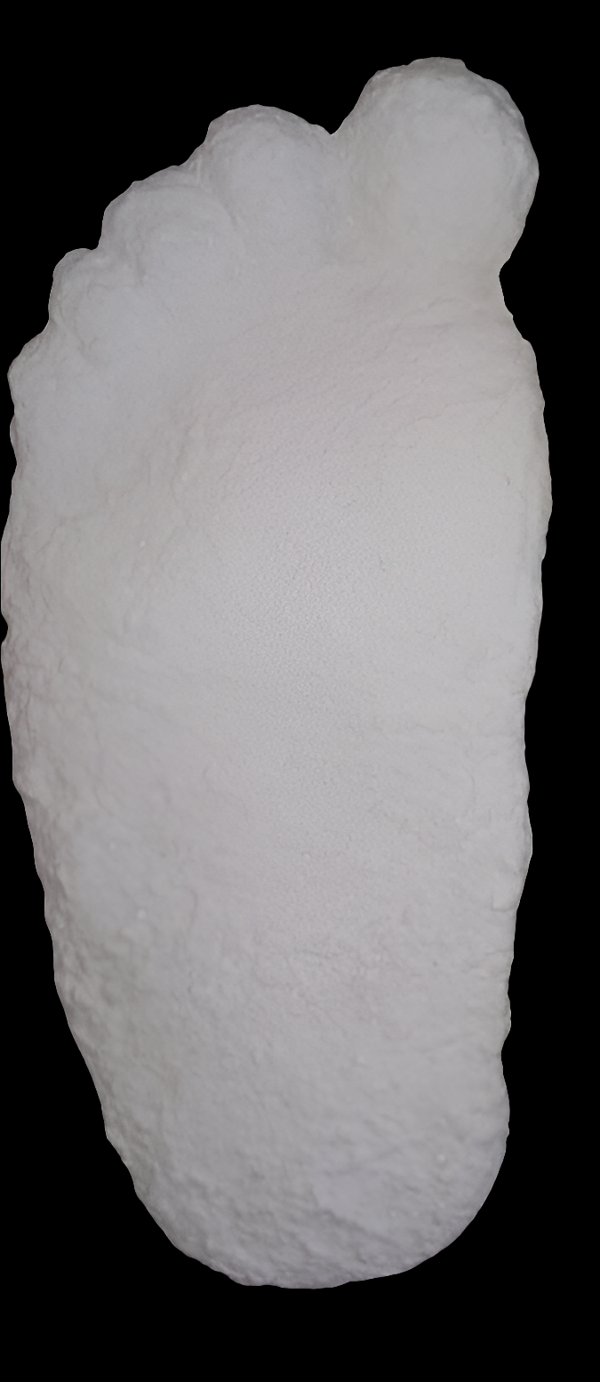 1963 Graves Bigfoot cast replica track