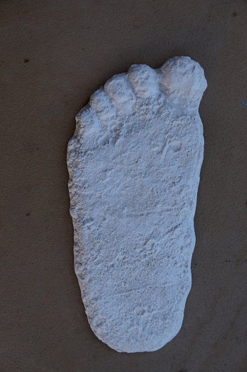 1963 (1967?) Pat Graves Bigfoot track cast Patterson - (formerly Gimlin E cast)