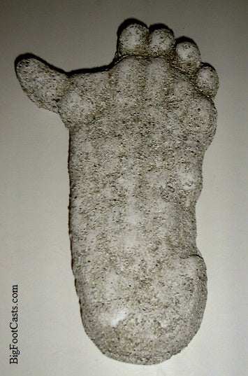 1962 Bigfoot Loren Coleman Decatur Illinois Sasquatch track cast replica