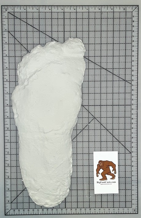 1963 Bigfoot cast Hodgson print (1967)