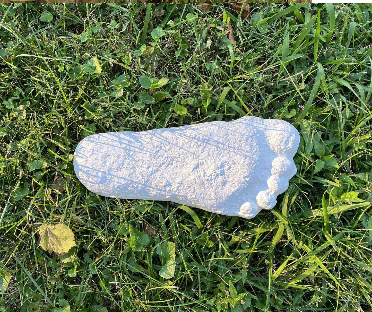 1 Bigfoot Patterson Patty RESIN track footprint cast Resin Bigfoot Cast Track Replica