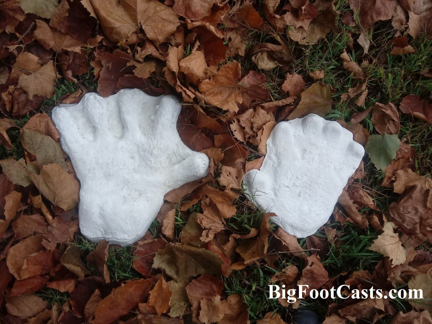 1970s  Bigfoot hand cast #2: XL hand (1970)