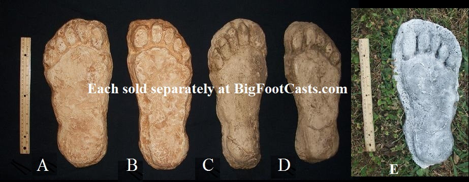 1982 Grays Harbor Hereford Bigfoot print cast D