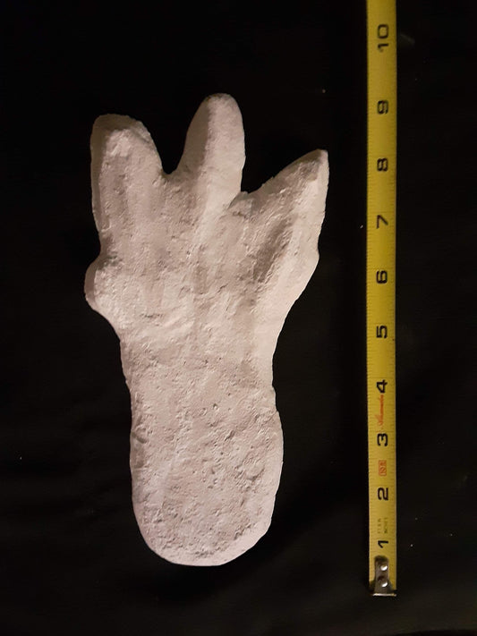 1974 Honey Island Swamp Monster Track Cast Replica footprint impression Cryptozoology Cryptid