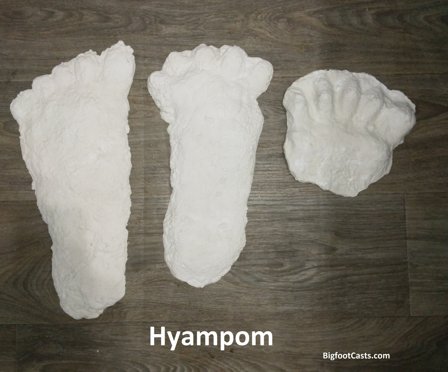 1963 Hyampom C cast Bigfoot (Sasquatch) cast