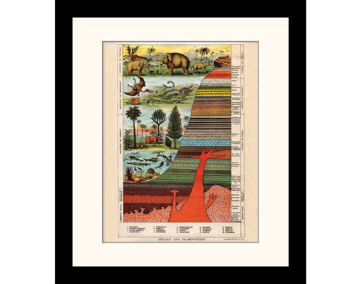 Geology and Palaentology Print
