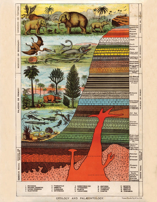 Geology and Palaentology Print
