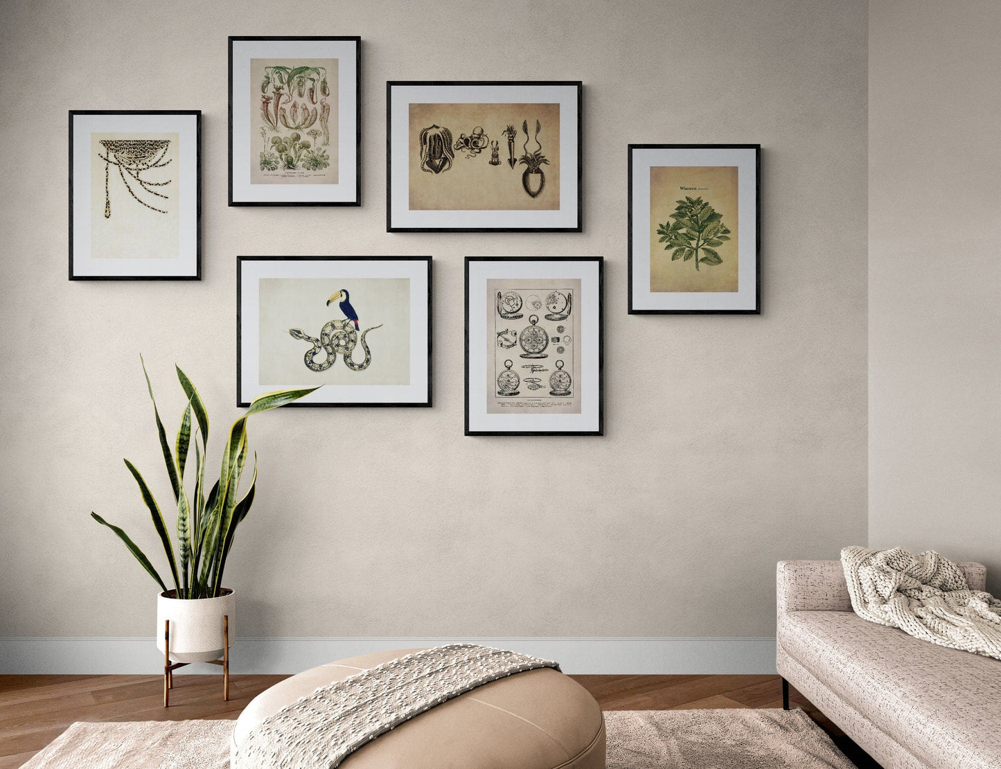 Carnivorous Plants Print