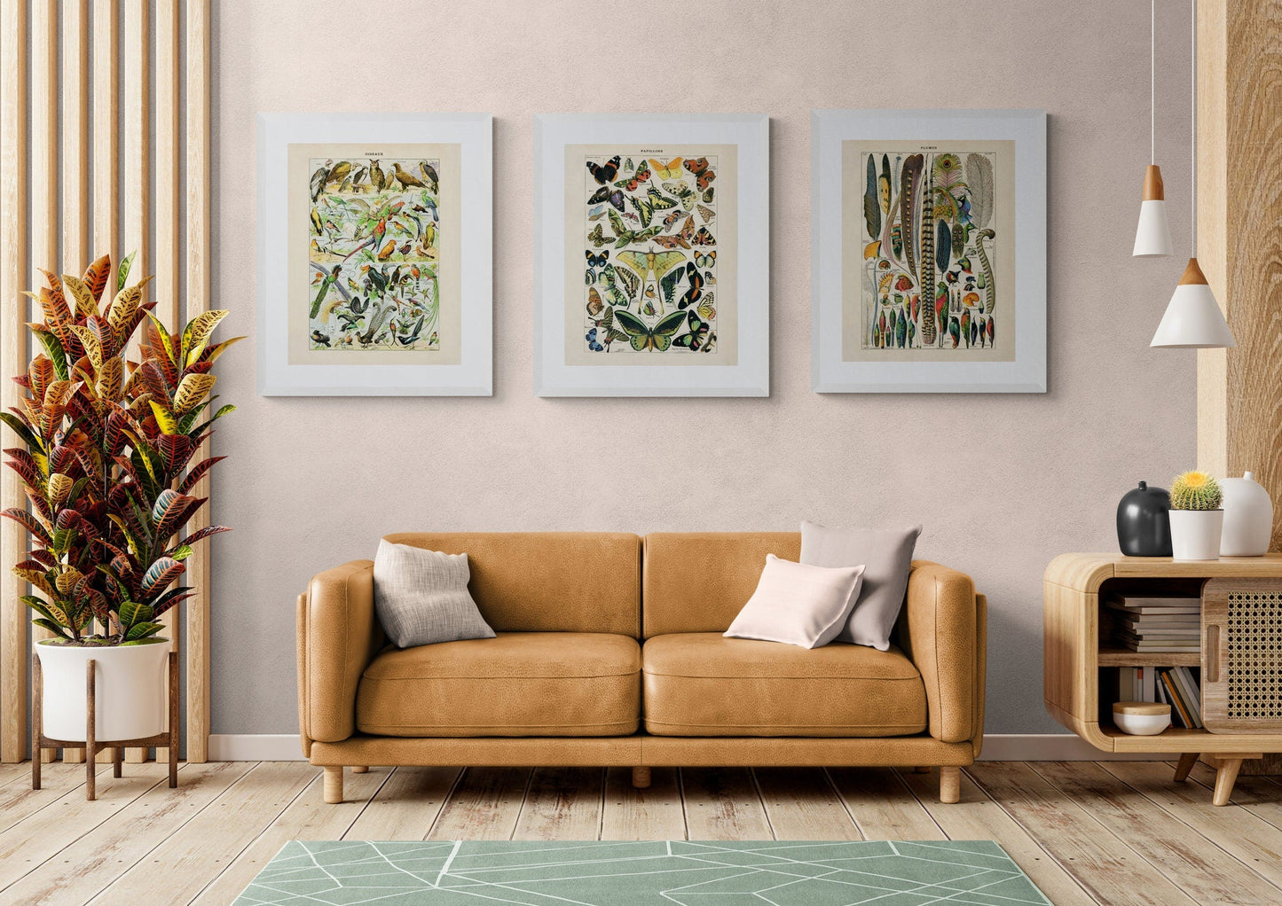 Butterfly Poster