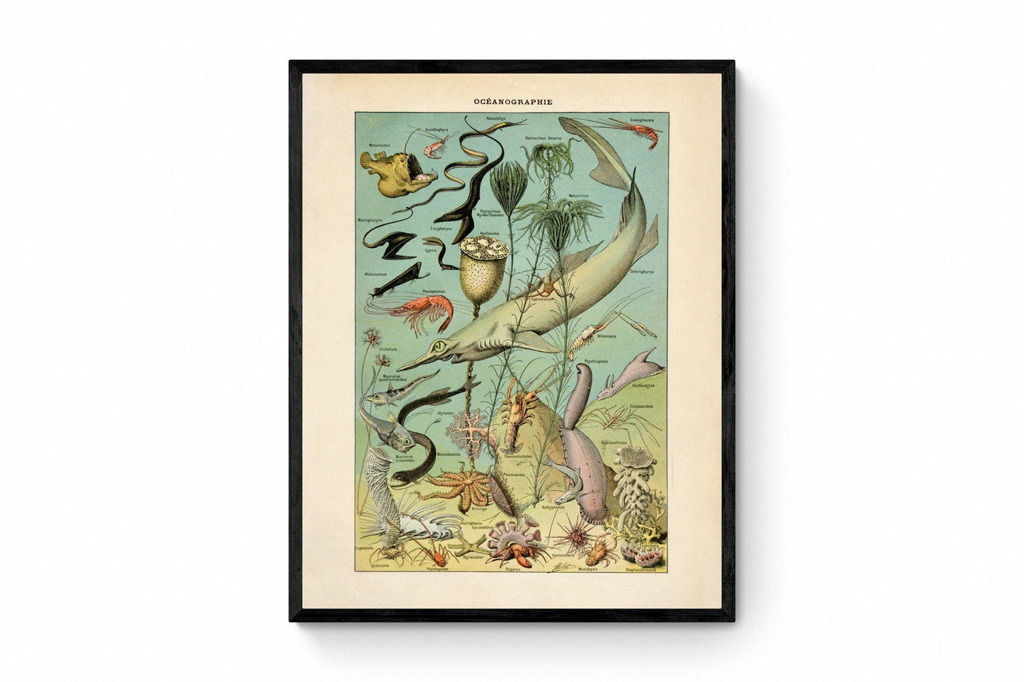Oceanography Poster