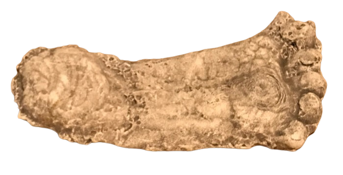 1990 Bigfoot Mount Rainier Mt. Rainier Track Cast footprint replica