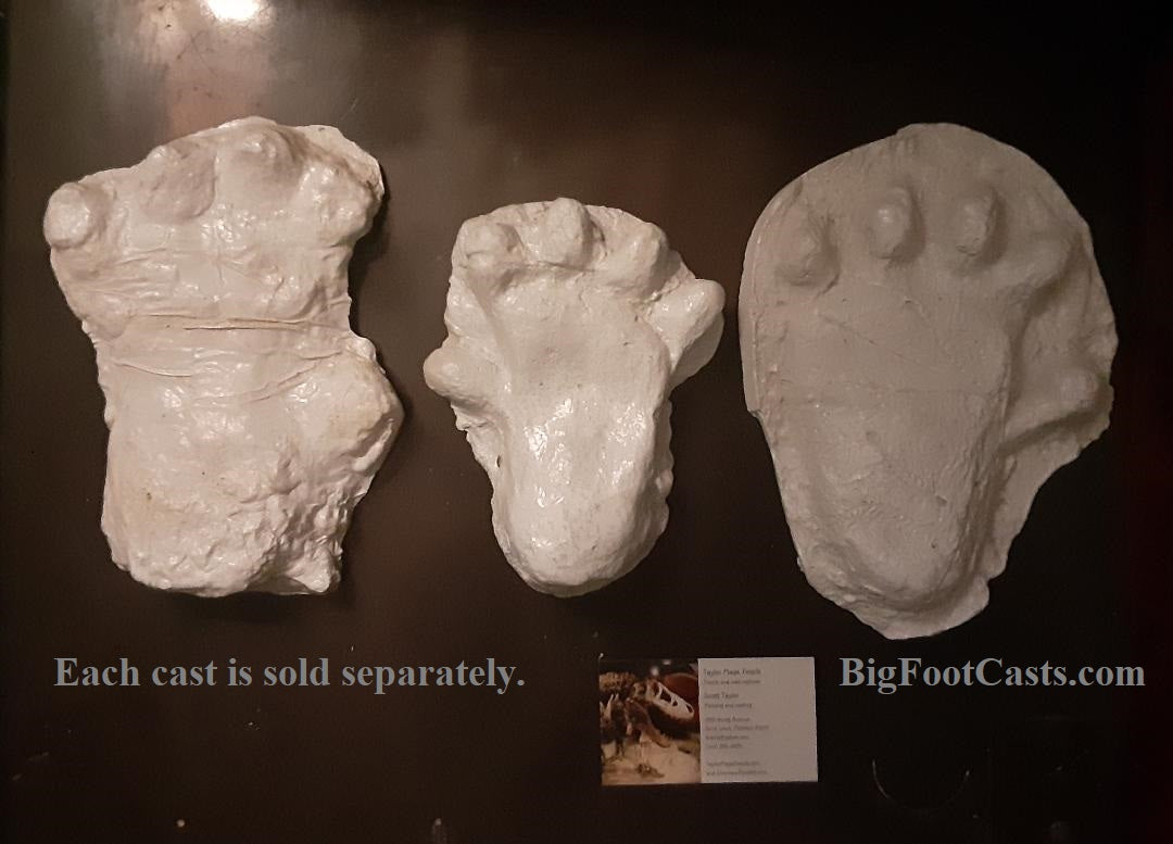 2013 Orang Pendek #2 footprint cast replica #2