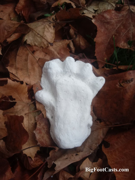 2013 Orang Pendek #2 footprint cast replica #2