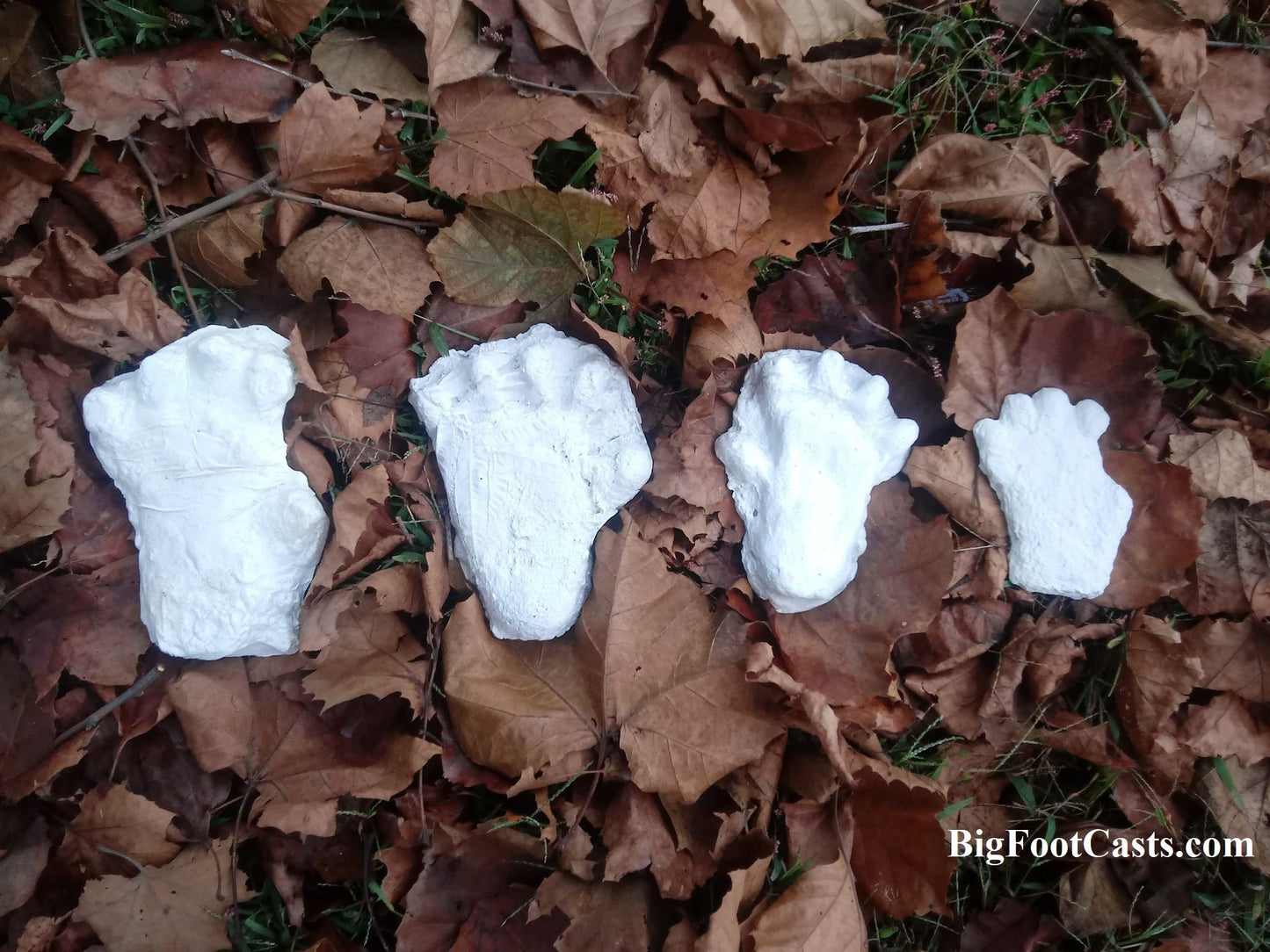 2000 Orang Pendek #1 footprint cast replica #1