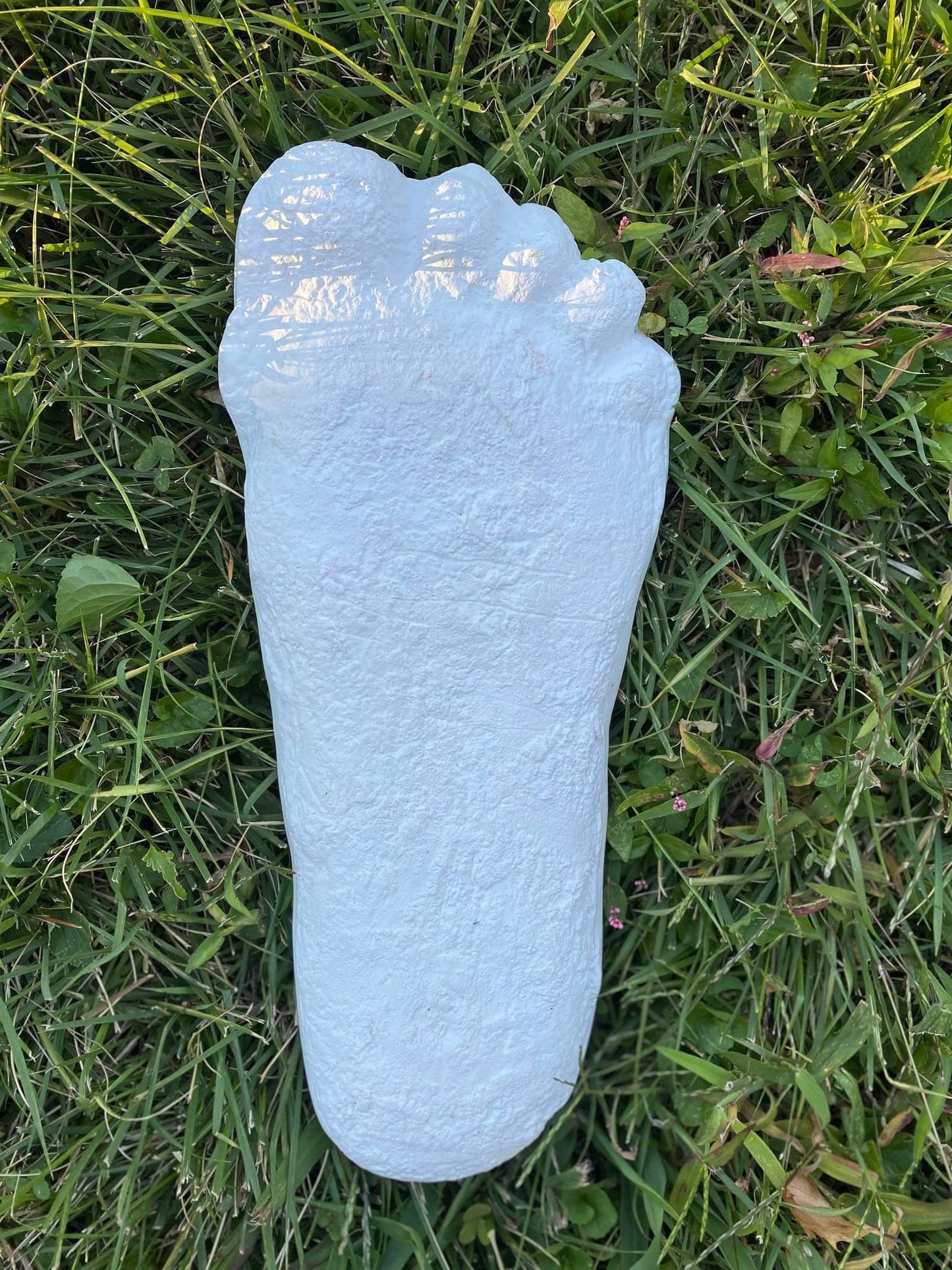 1 Bigfoot Patterson Patty RESIN track footprint cast Resin Bigfoot Cast Track Replica