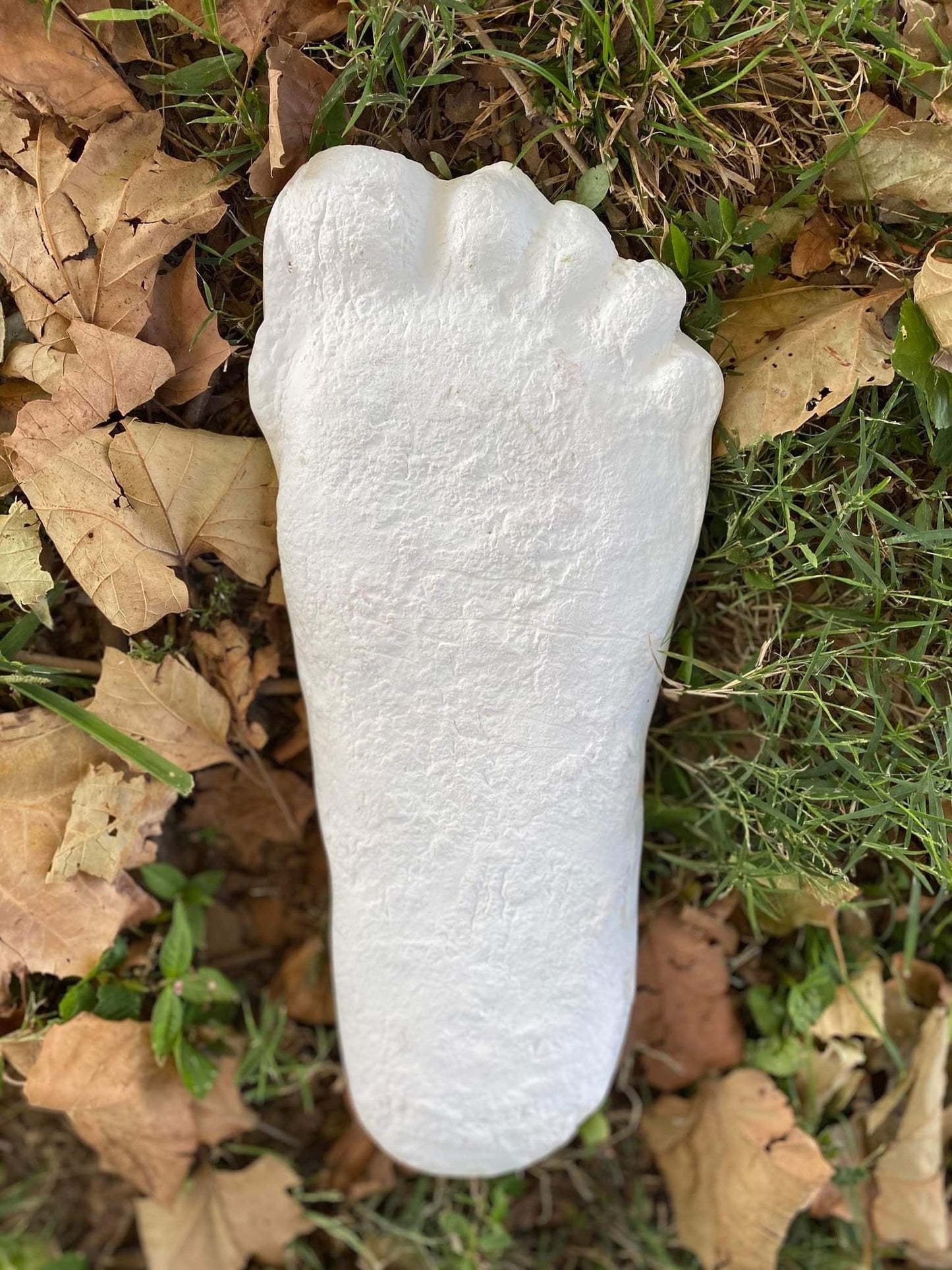 1 Bigfoot Patterson Patty RESIN track footprint cast Resin Bigfoot Cast Track Replica