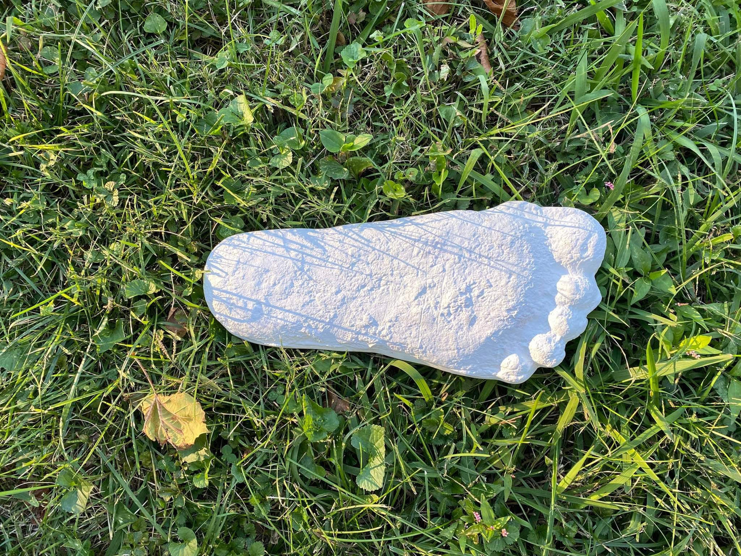 1 Bigfoot Patterson Patty RESIN track footprint cast Resin Bigfoot Cast Track Replica