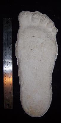 1967 Bigfoot Gimlin / Titmus cast 10/29/1967