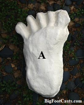 1984 Paul Freeman's Wrinkle Foot cast  A Bigfoot Sasquatch footprint track cast replicas