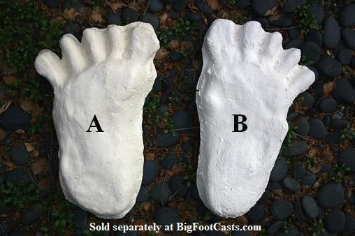 1984 Paul Freeman's Wrinkle Foot cast  C half track Bigfoot Sasquatch footprint track cast replicas
