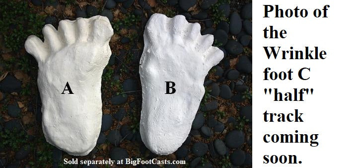 1984 Paul Freeman's Wrinkle Foot cast  C half track Bigfoot Sasquatch footprint track cast replicas