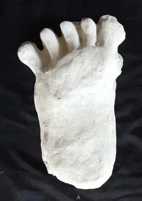 1984 Paul Freeman's Wrinkle Foot cast  A Bigfoot Sasquatch footprint track cast replicas