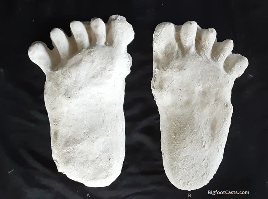 1984 Paul Freeman's Wrinkle Foot cast  A Bigfoot Sasquatch footprint track cast replicas